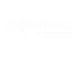 Logo Expert-Bel Logo Expert-Bel